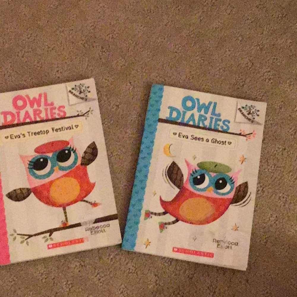 Owl Diares Books